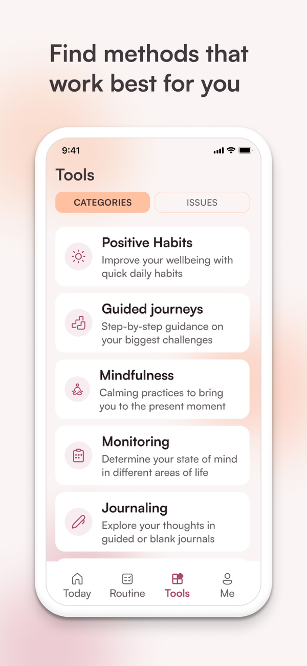 Tools: habits, guided journeys, mindfulness, monitoring and journaling